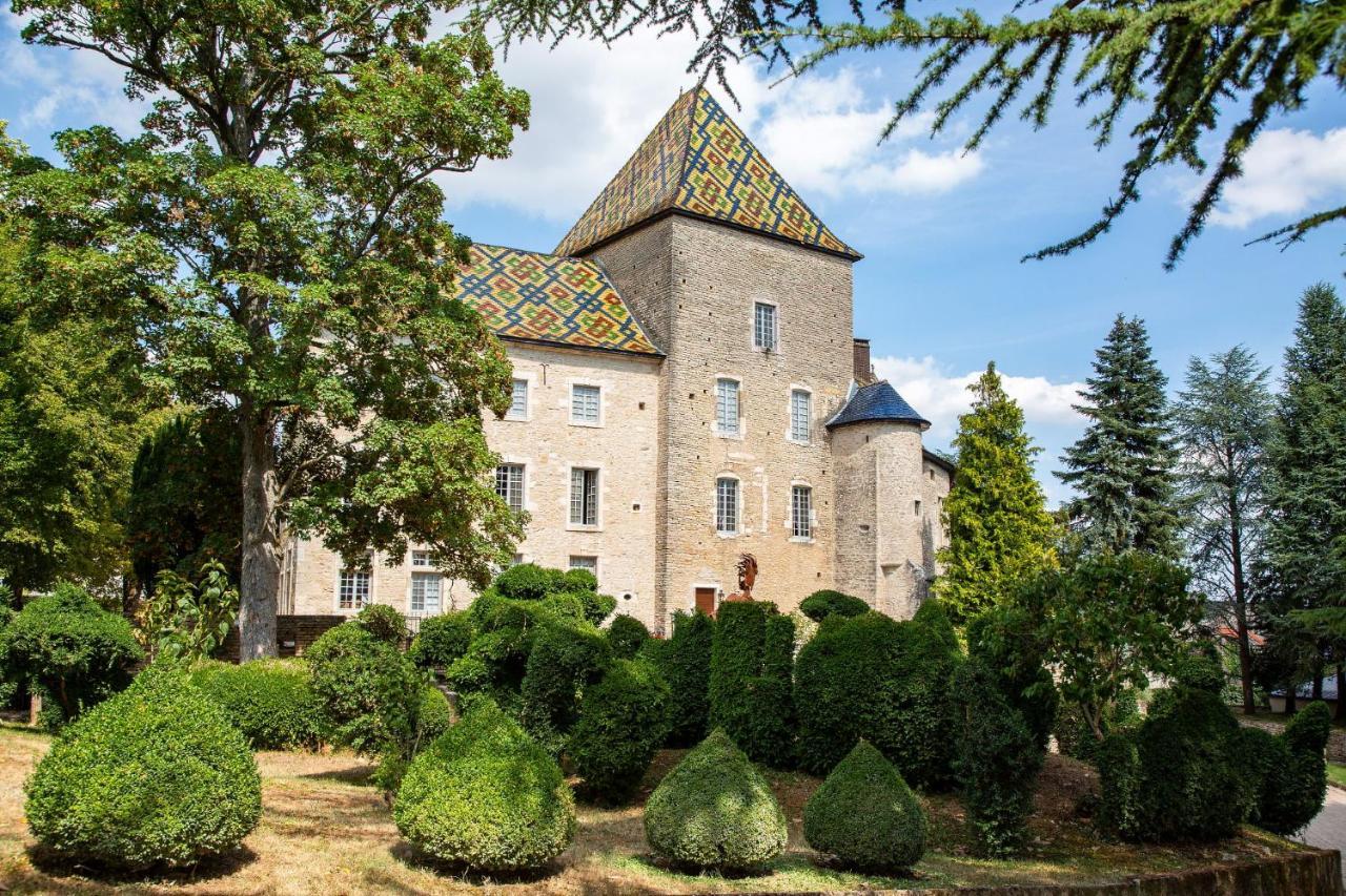Camping De Santenay Сантене Екстер'єр фото